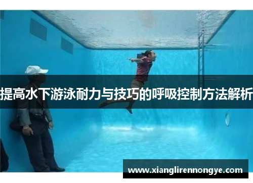 提高水下游泳耐力与技巧的呼吸控制方法解析