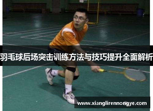 羽毛球后场突击训练方法与技巧提升全面解析