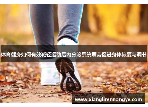体育健身如何有效减轻运动后内分泌系统疲劳促进身体恢复与调节