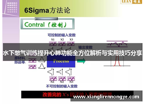 水下憋气训练提升心肺功能全方位解析与实用技巧分享