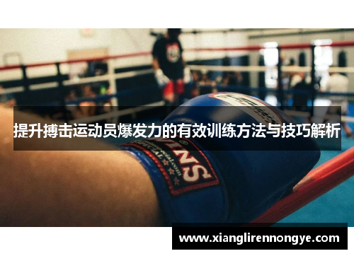 提升搏击运动员爆发力的有效训练方法与技巧解析