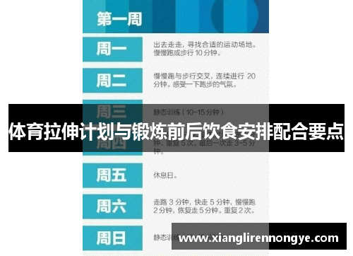体育拉伸计划与锻炼前后饮食安排配合要点