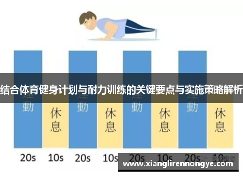 结合体育健身计划与耐力训练的关键要点与实施策略解析