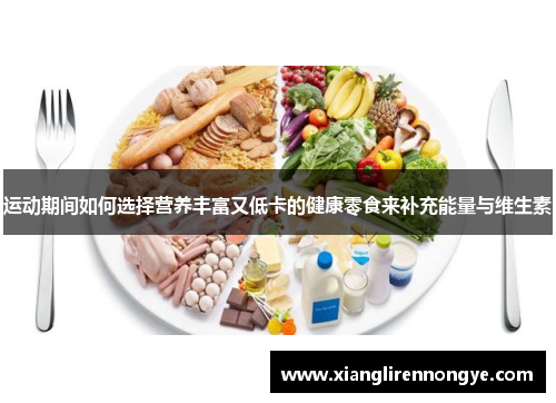 运动期间如何选择营养丰富又低卡的健康零食来补充能量与维生素