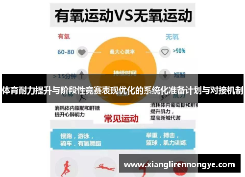 体育耐力提升与阶段性竞赛表现优化的系统化准备计划与对接机制