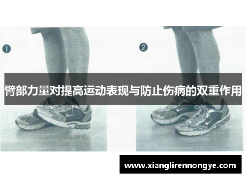 臂部力量对提高运动表现与防止伤病的双重作用