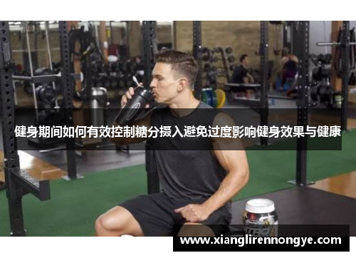 健身期间如何有效控制糖分摄入避免过度影响健身效果与健康