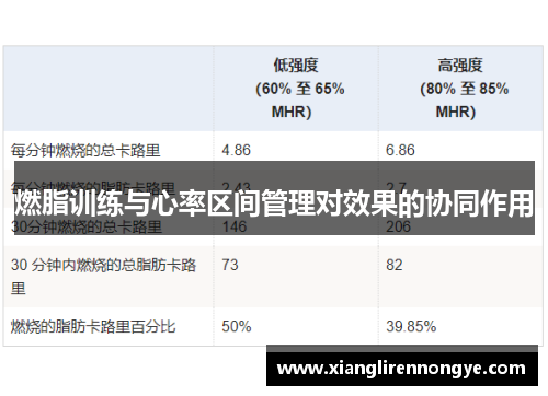 燃脂训练与心率区间管理对效果的协同作用